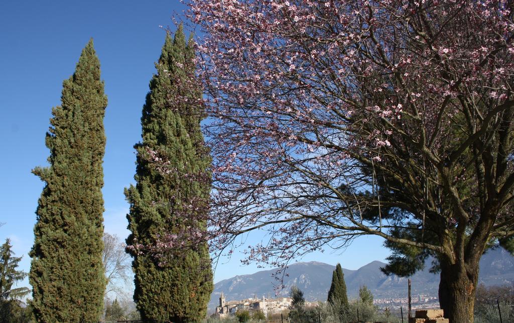 Le Storie Di Bambu Konuk evi Terni Dış mekan fotoğraf