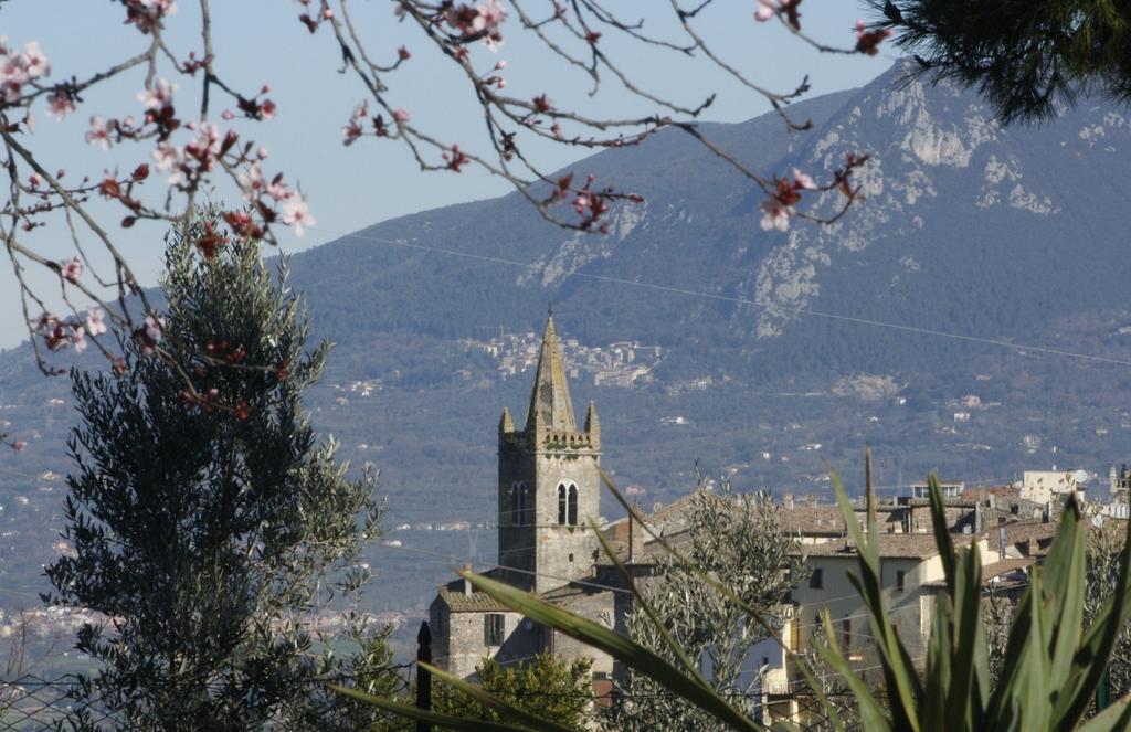 Le Storie Di Bambu Konuk evi Terni Dış mekan fotoğraf