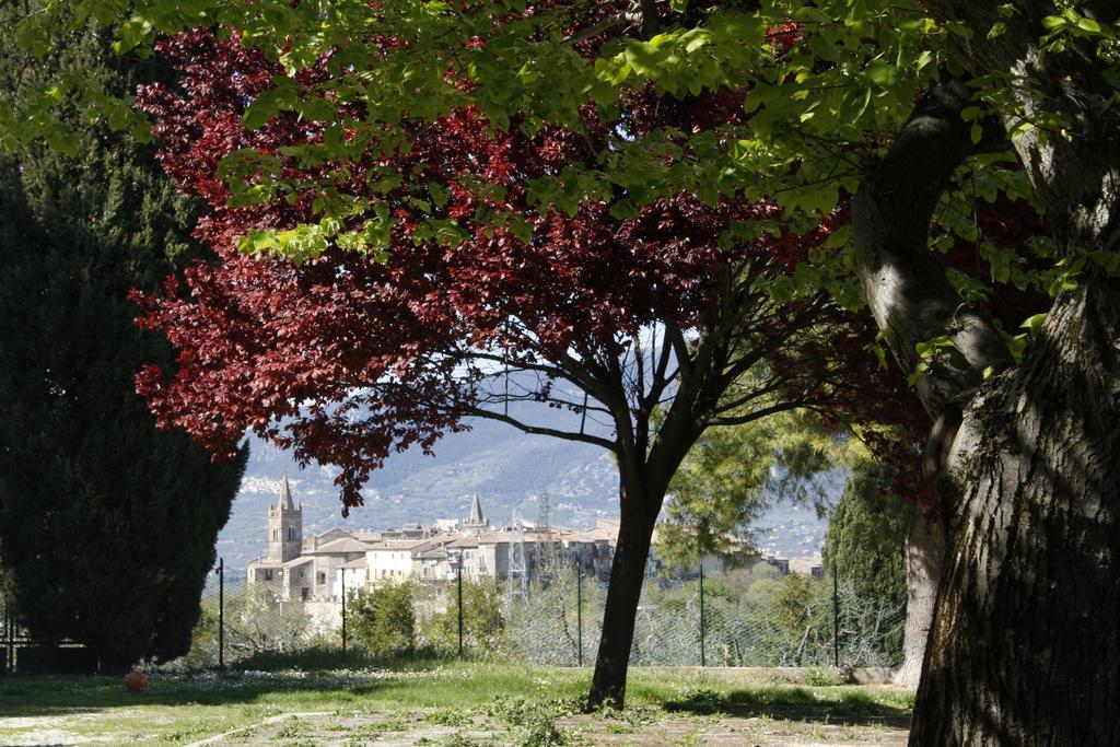 Le Storie Di Bambu Konuk evi Terni Dış mekan fotoğraf